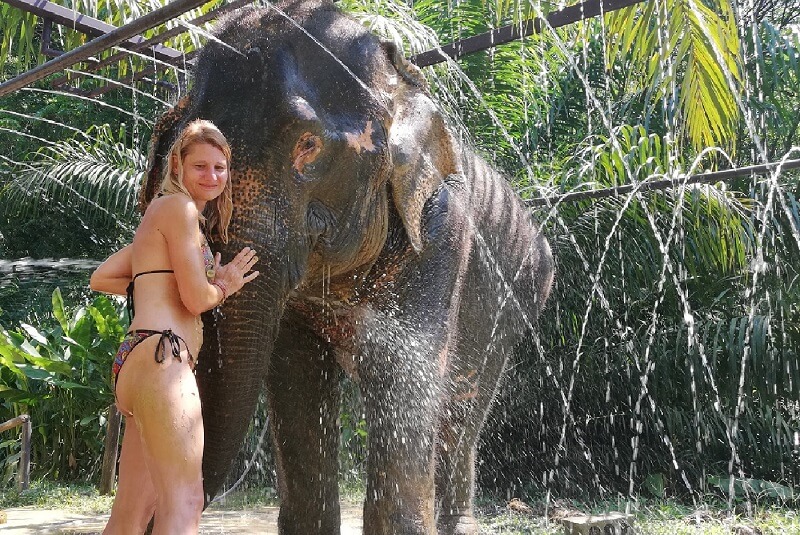 KhaoLak Adventures Ausflüge Khao Lak Khao Sok Elefanten Sanctuary Camp KhaoLak Thailand